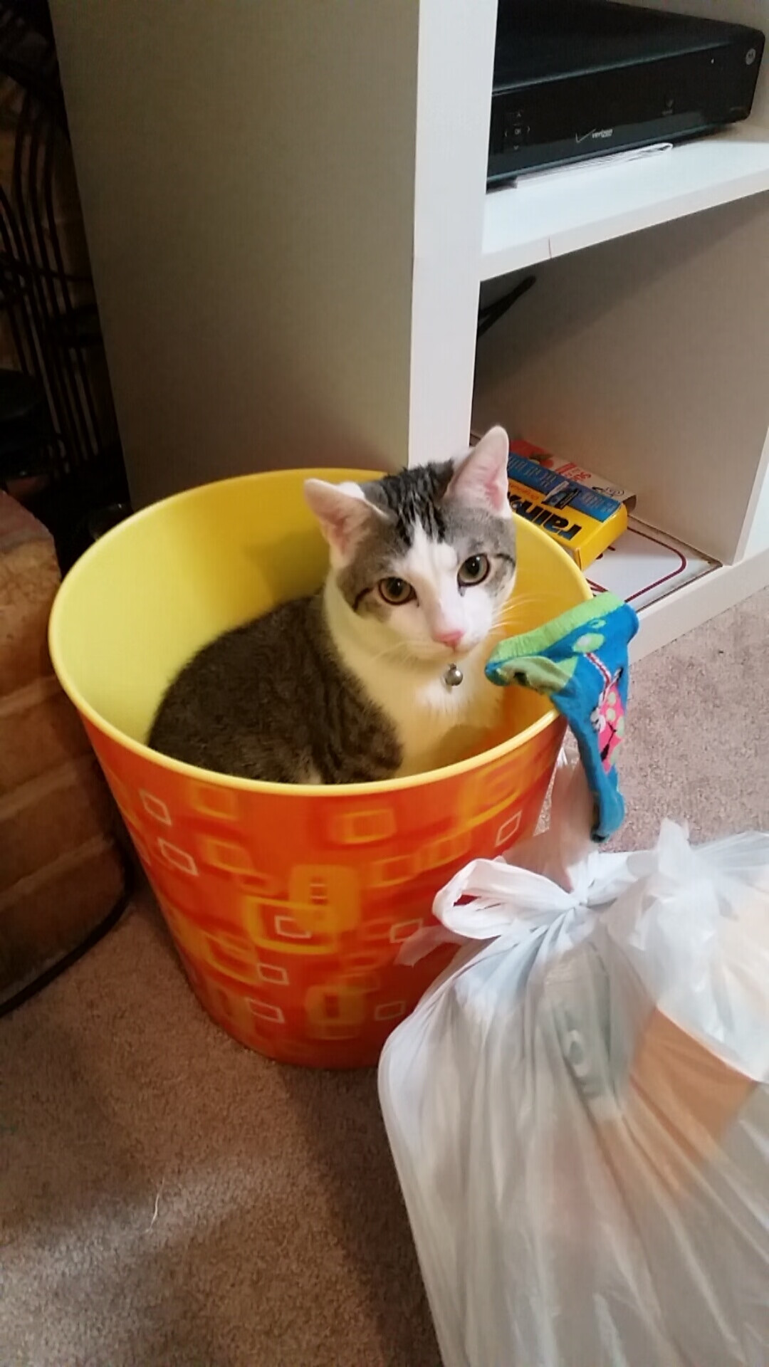 拜仁慕尼黑主场2-0战胜柏林赫塔,保持不败纪录,拜仁慕尼黑二队