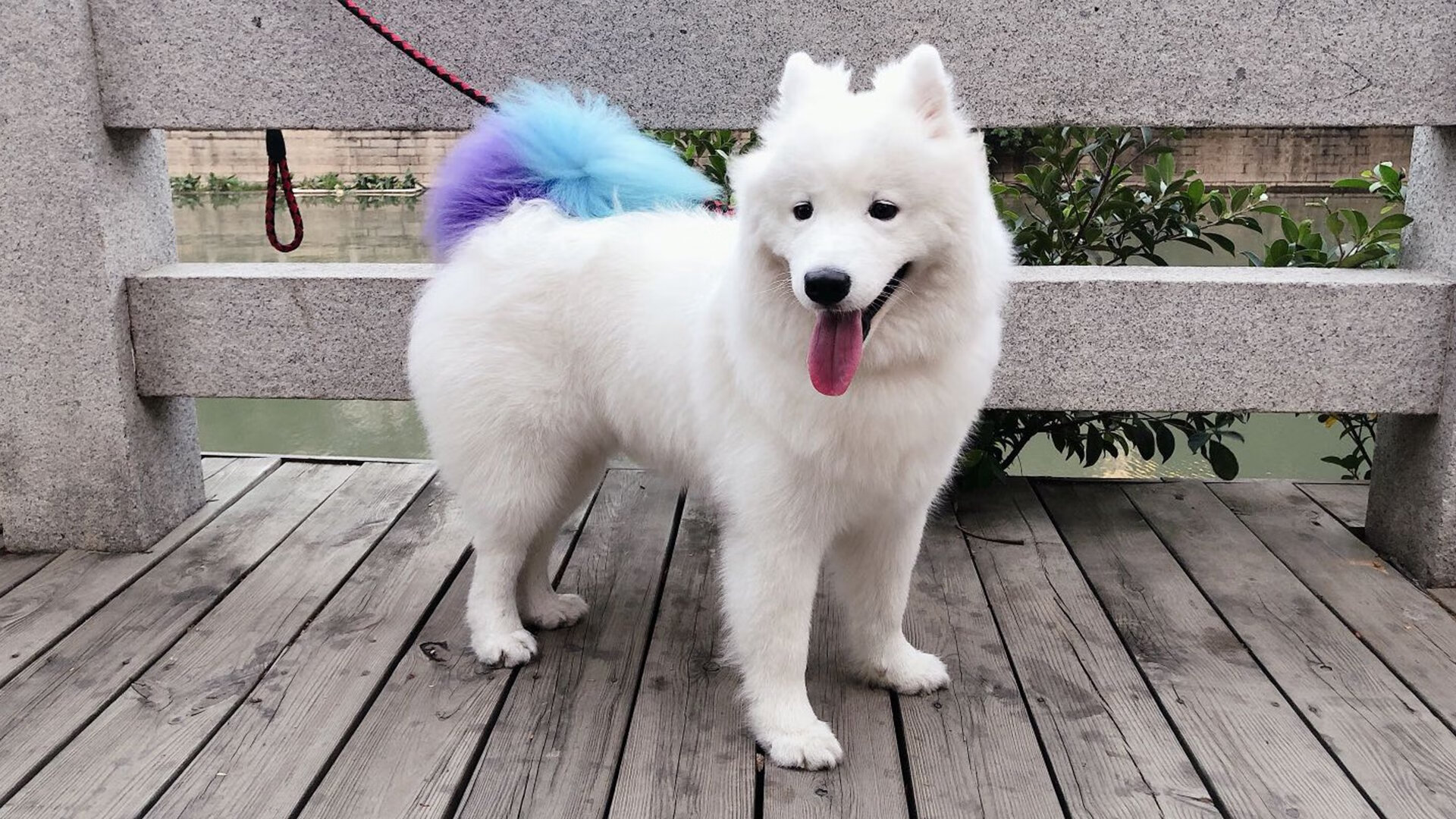 欧国联比赛:斯洛文尼亚队险胜波黑队,奥运落选赛斯洛文尼亚对波兰