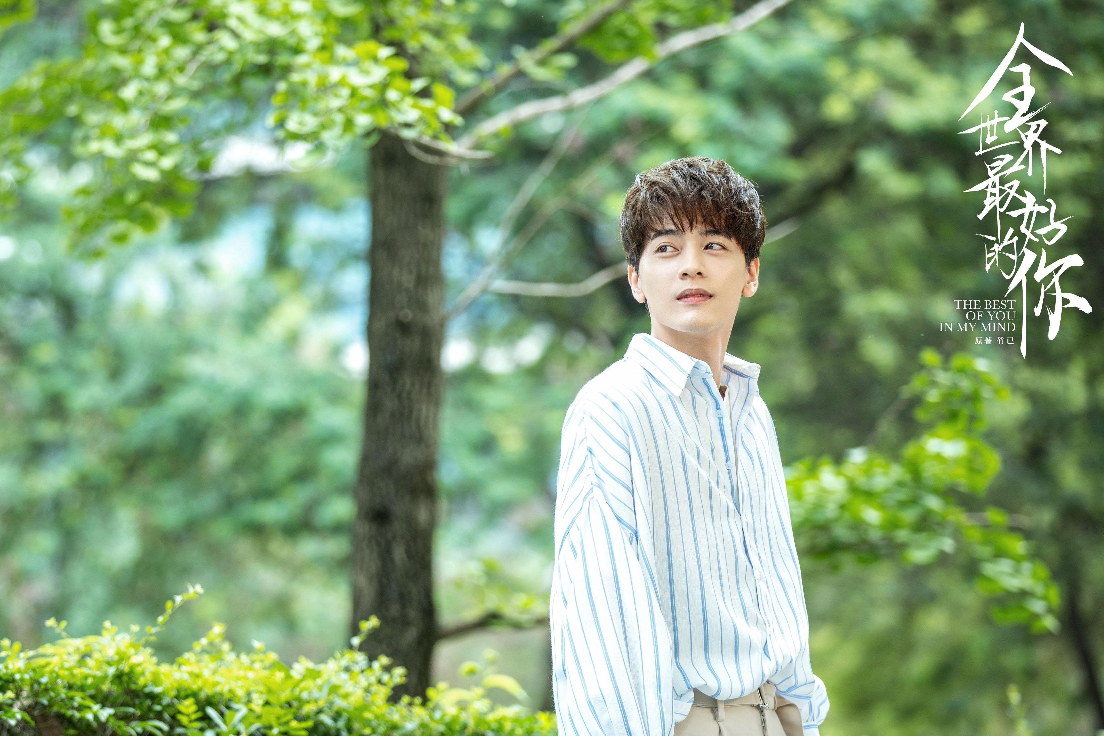 诺里奇城阵容深度提升,黄蜂军团具备冲超底气,诺里奇足球