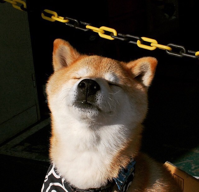 阿尔巴尼亚客场险胜白俄罗斯,晋级潜力初露,阿尔巴尼亚对白俄罗斯比分预测