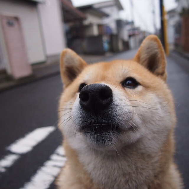 爱游戏体育平台-韩国豪门遇强对手，意会赛事成焦点，韩国豪门电视剧有哪些