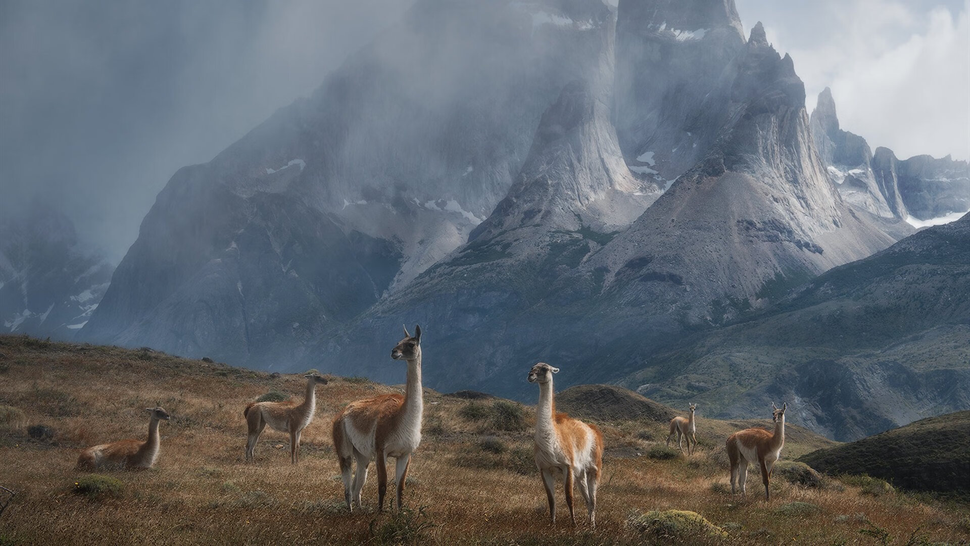 韩国豪门遇强对手,意会赛事成焦点,韩国豪门电视剧有哪些