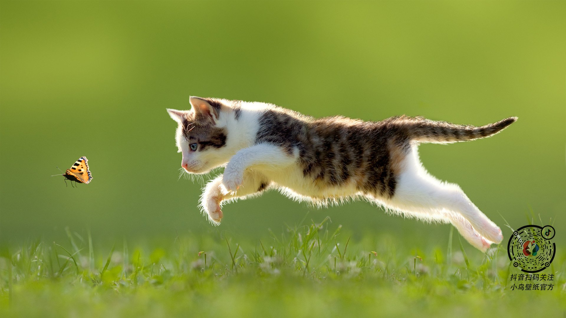 NBA季前训练营观察报告,nba训练日程