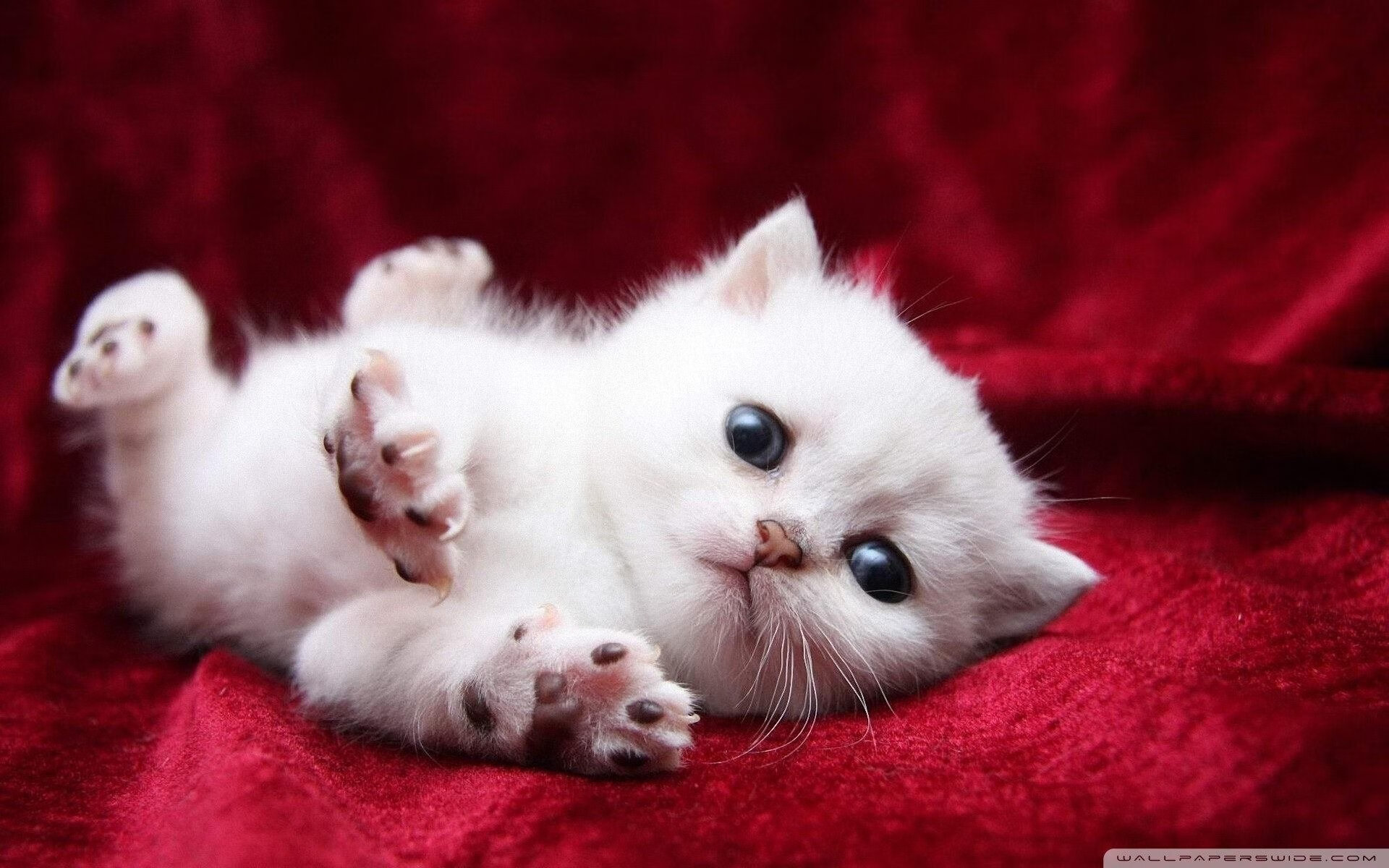 NBA球员训练期负重能力提升策略,nba球员训练力量方法