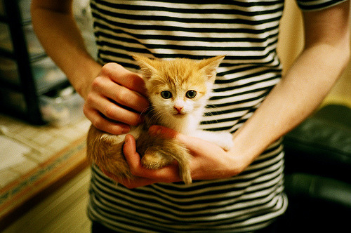 意甲青训心理评估模型对球员长期发展路径的预测，意甲青训最好的球队