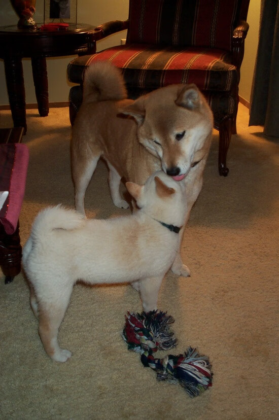 运动医学在学校体检体系中的融合路径研究,医院运动医学