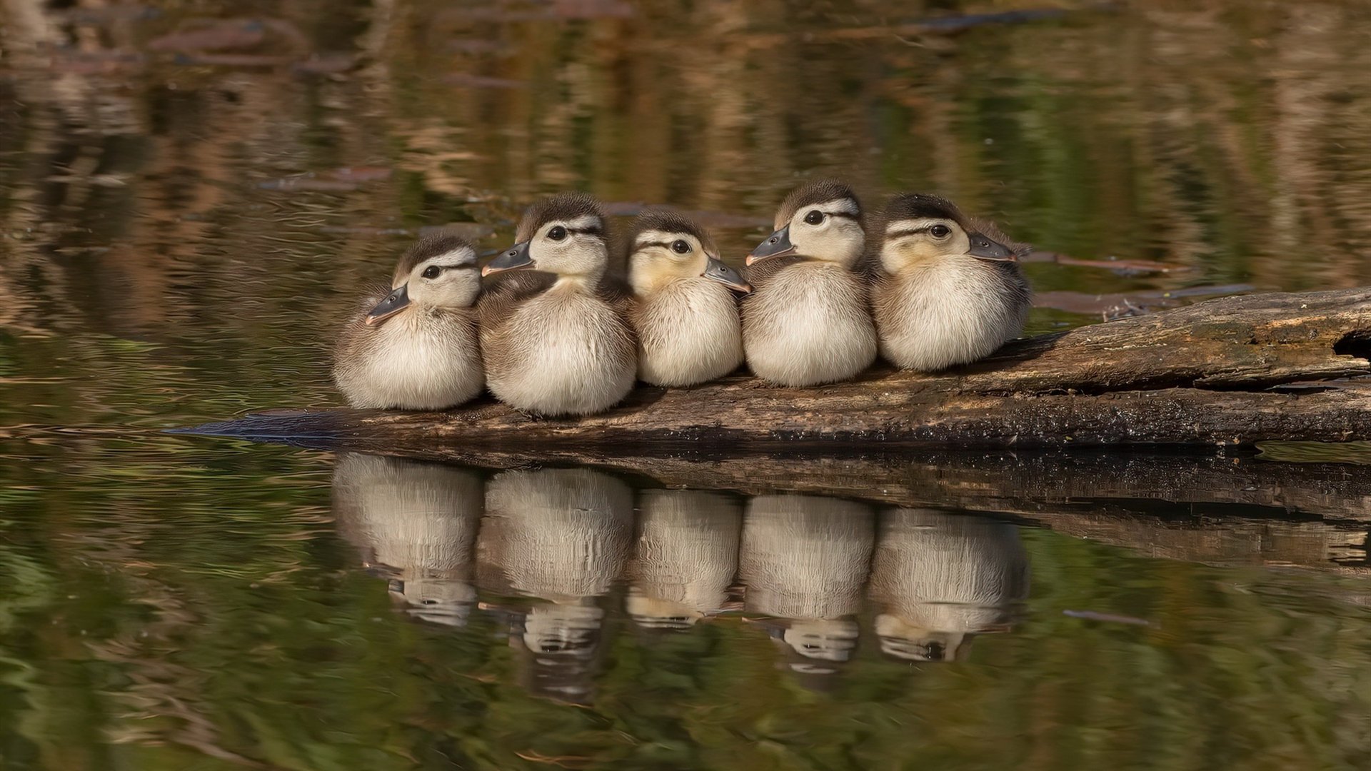 爱游戏体育-PSG明星球员发挥稳定，海湾者苦寻破绽