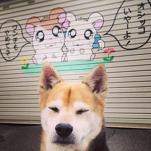 关键时段技术动作数据变化,关键时段技术动作数据变化分析