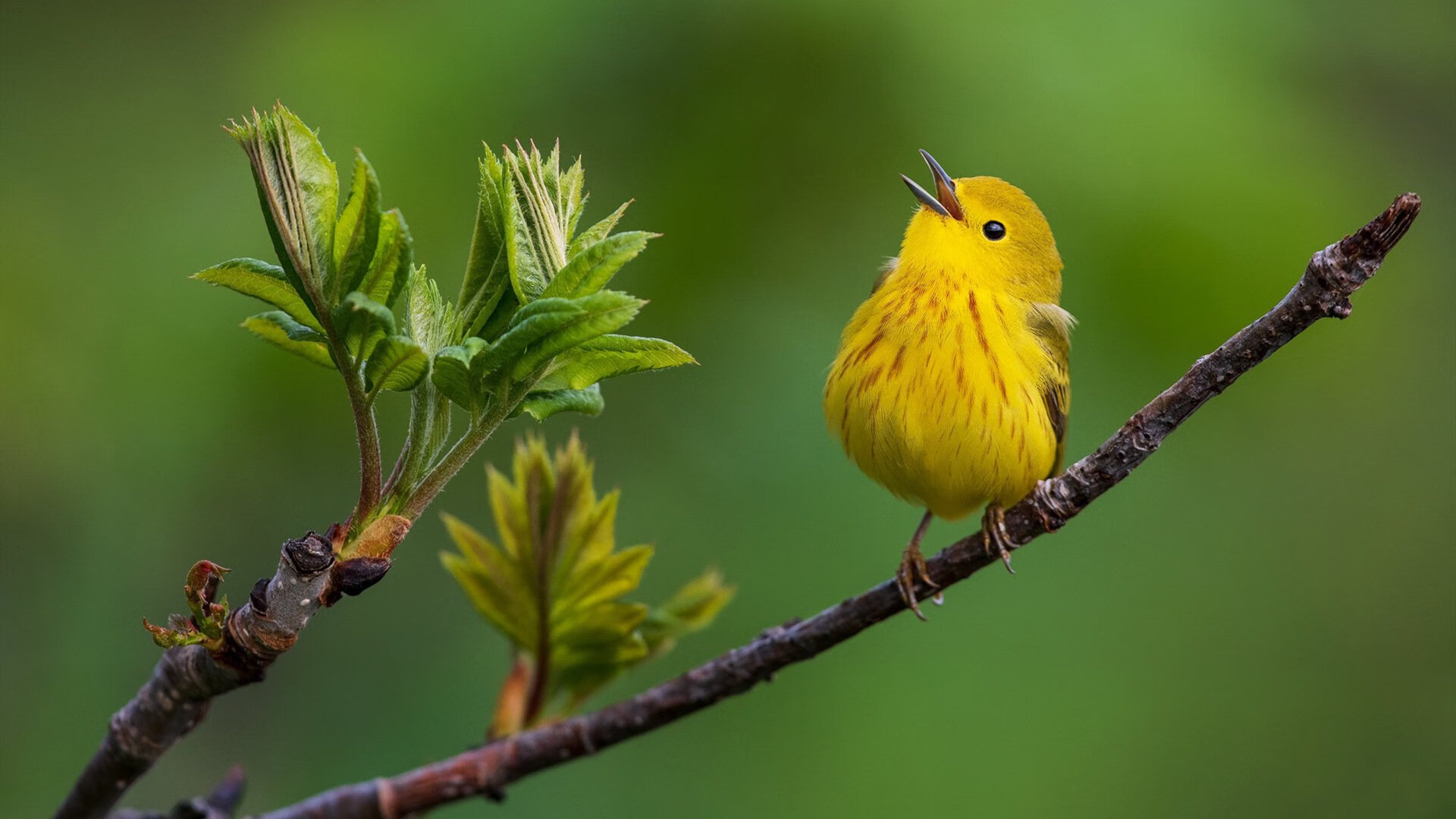 国家队技战术创新为何难以实现,国家队技战术创新为何难以实现呢