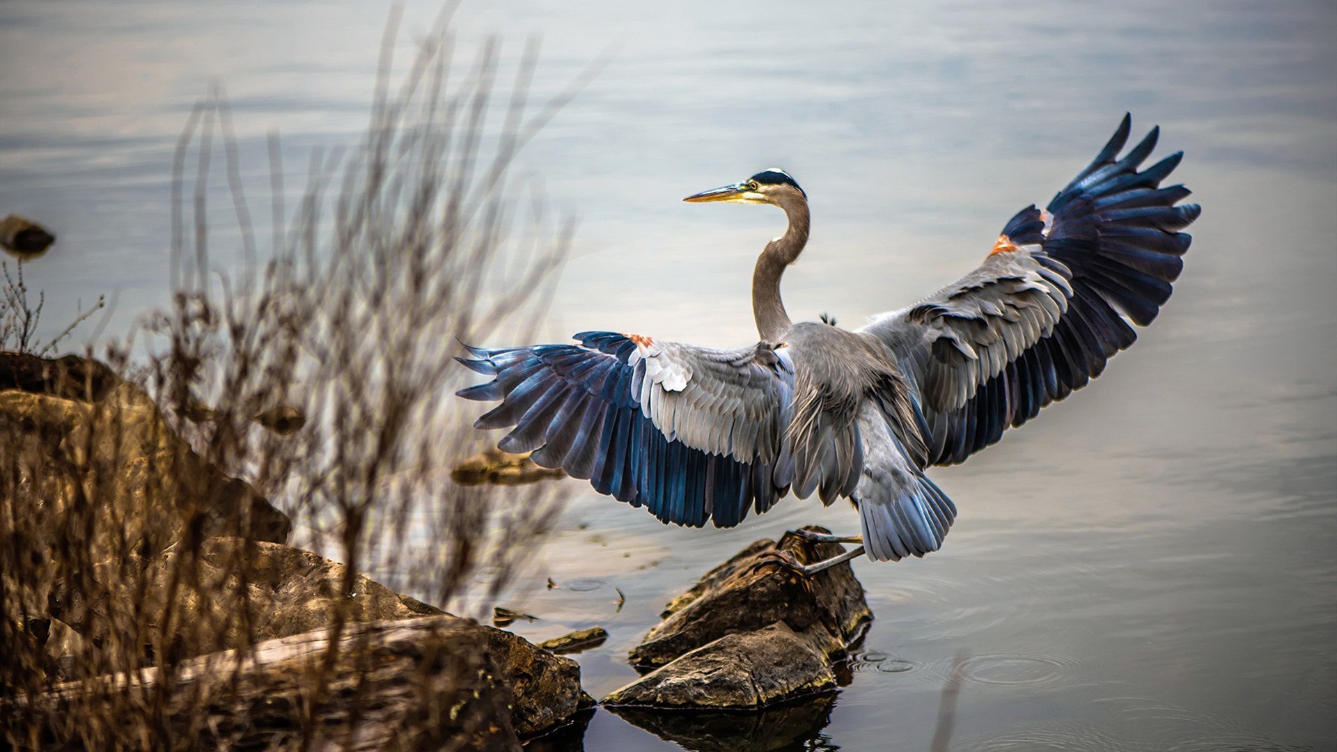 爱游戏体育-替补球员表现抢眼助力球队夺冠，替补球员意义的重要性