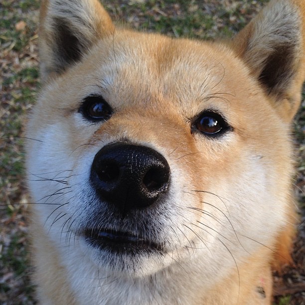 职业球员投篮稳定性如何通过训练保障,投篮稳定性怎么练