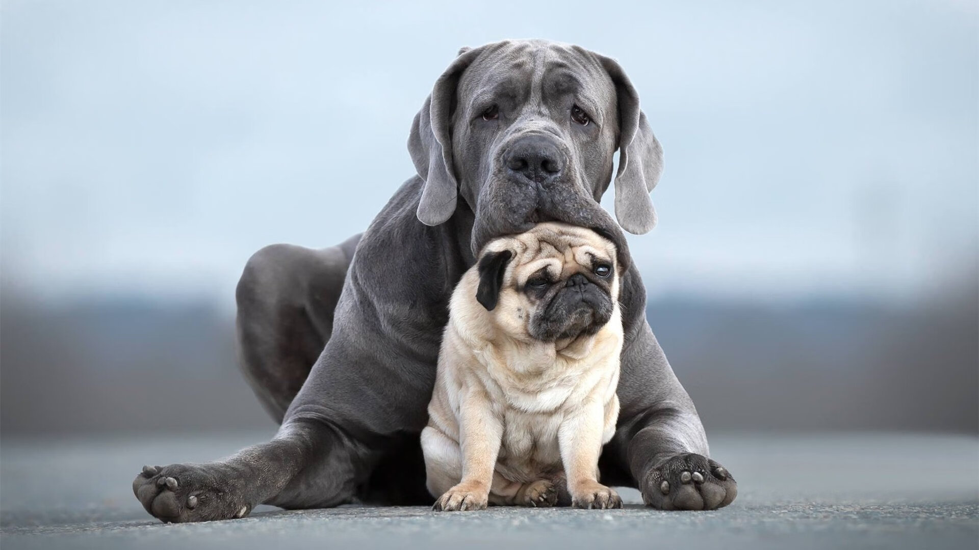 英雄联盟战队文化墙曝光激励语引粉丝共鸣,lol战队宣传海报