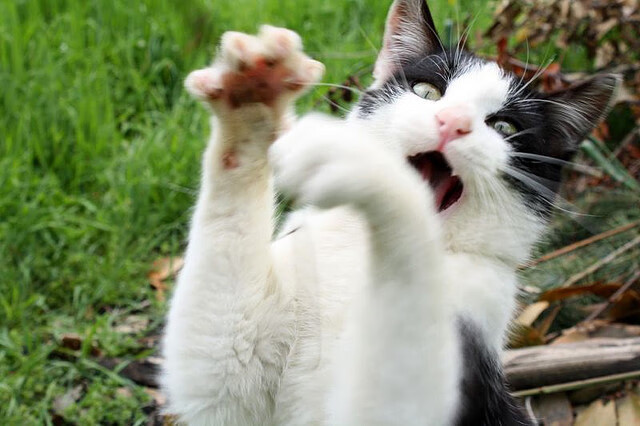 转换节奏中最容易被忽视的战术协同有哪些