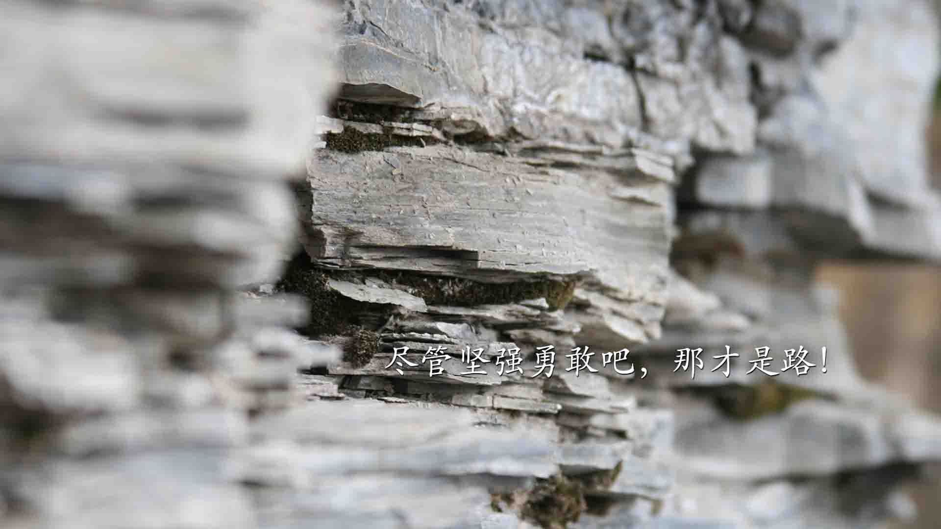 AIYOUXI.COM-中国男篮再集结备战亚运目标直指金牌荣誉，中国男篮亚运会数据