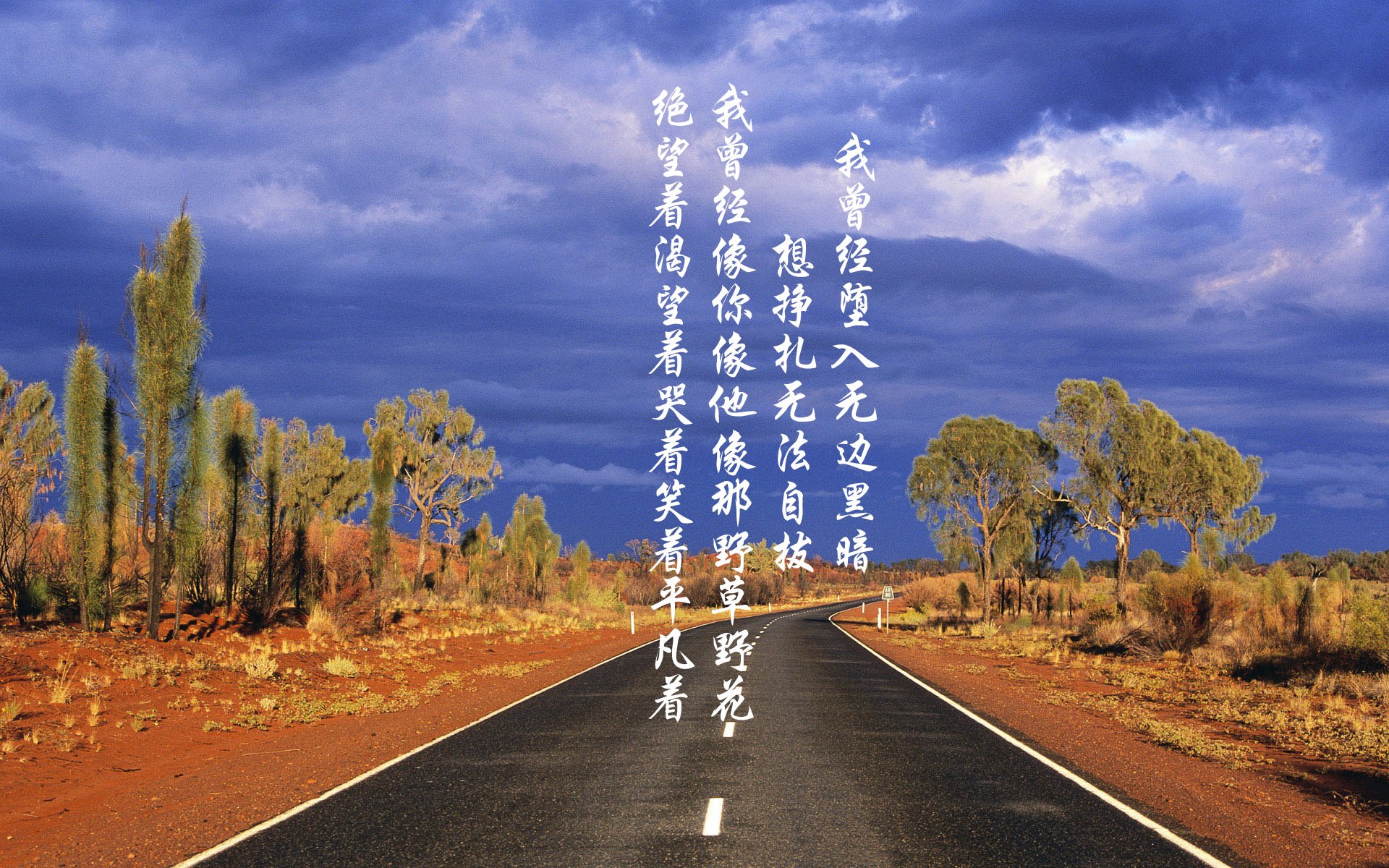 中国足球运动员转会市场活跃度提升,足球运动员转会身价排行榜