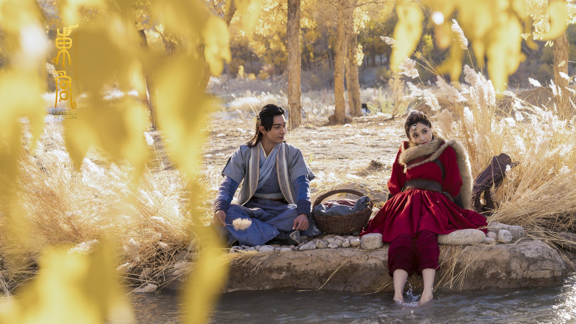 德甲攻守转换:节奏快如闪电!,德甲转会规则