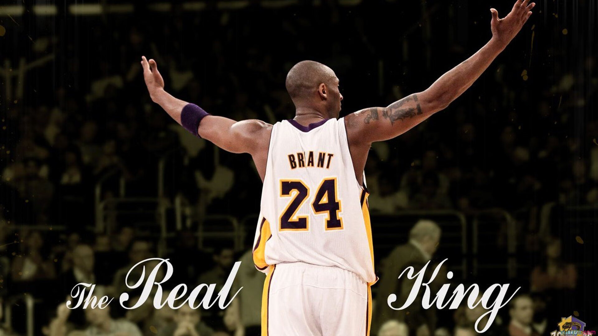 苏格兰橄榄球联赛的商业化道路稳步推进,苏格兰law球员