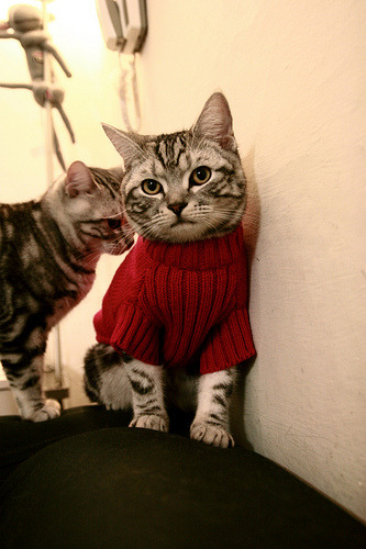 英超最火爆:逆境奋战,造就奇迹!,英超最善于逆转的球队