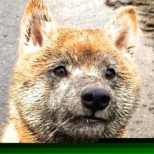 爱游戏在线登录入口-足坛天价合同再现，球员年薪刷新纪录，足坛球员年薪排行