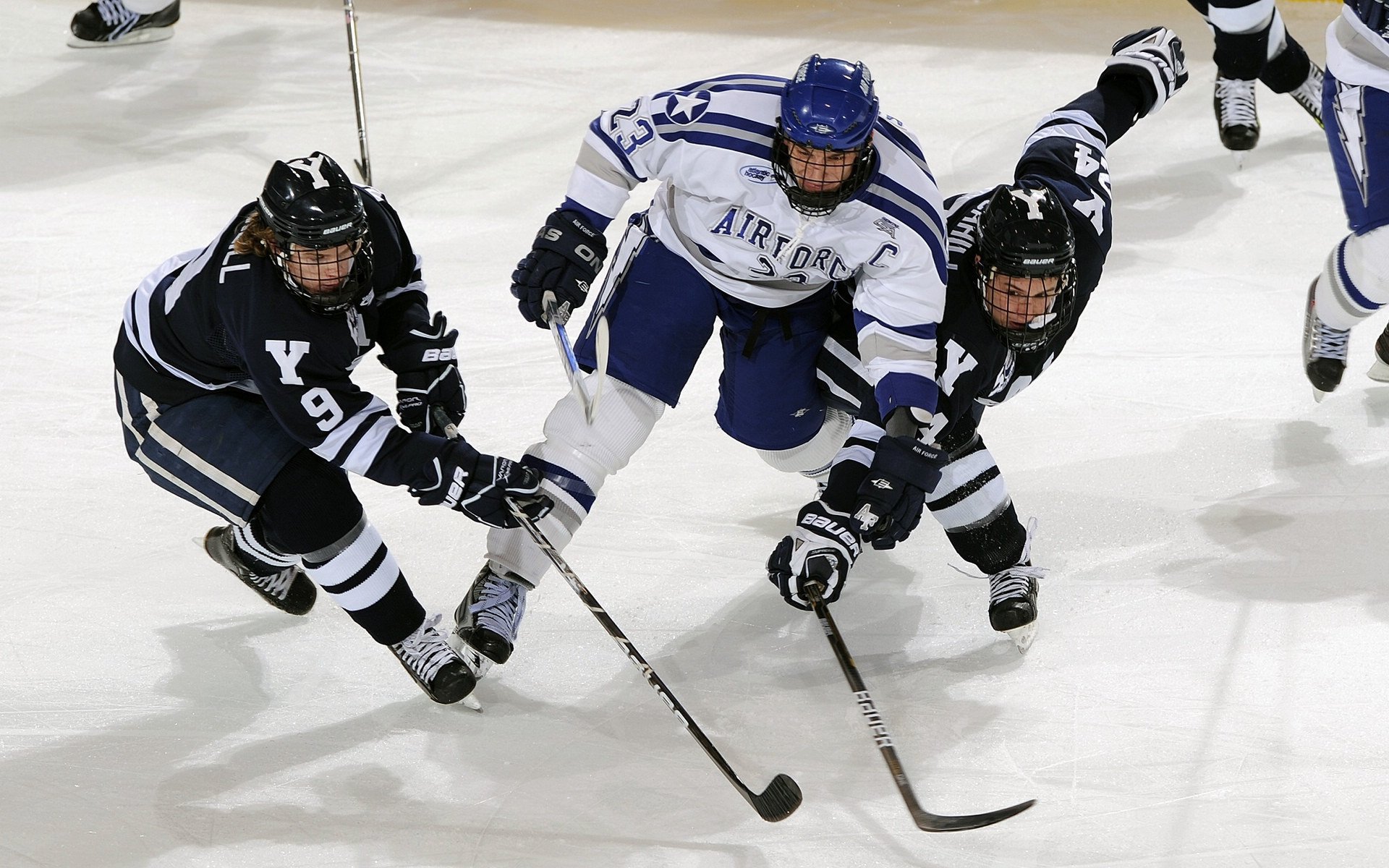 _比赛氛围火热:现场欢呼声经久不息_,比赛现场气氛活跃